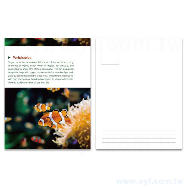 一級卡-單面霧膜單局部光250um明信片製作-雙面彩色印刷-酷卡印刷_0